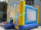 Inflatable Princess Commercial Bouncy Castles PVC Tarpaulin For Indoor
