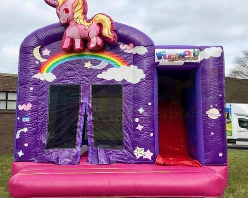 Jonge geitjes Roze het Springen Combos Opblaasbaar Spronghuis voor Hotel